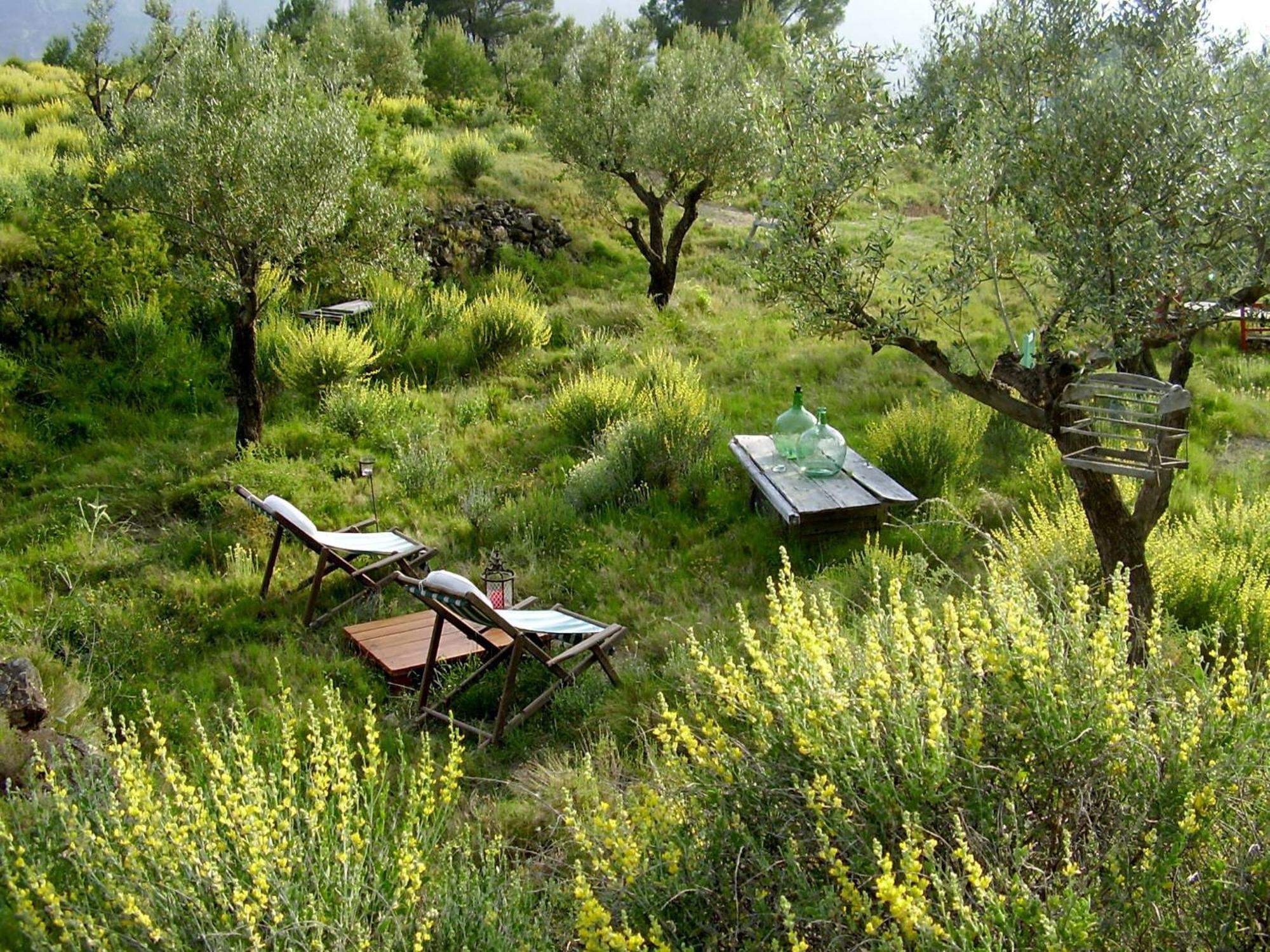 Shariqua (Adults Only) Bed & Breakfast Jérica Eksteriør bilde